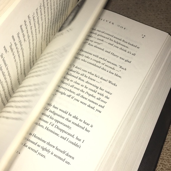 HARRY POTTER AND THE DEATHLY HALLOWS - Picture 6 of 6